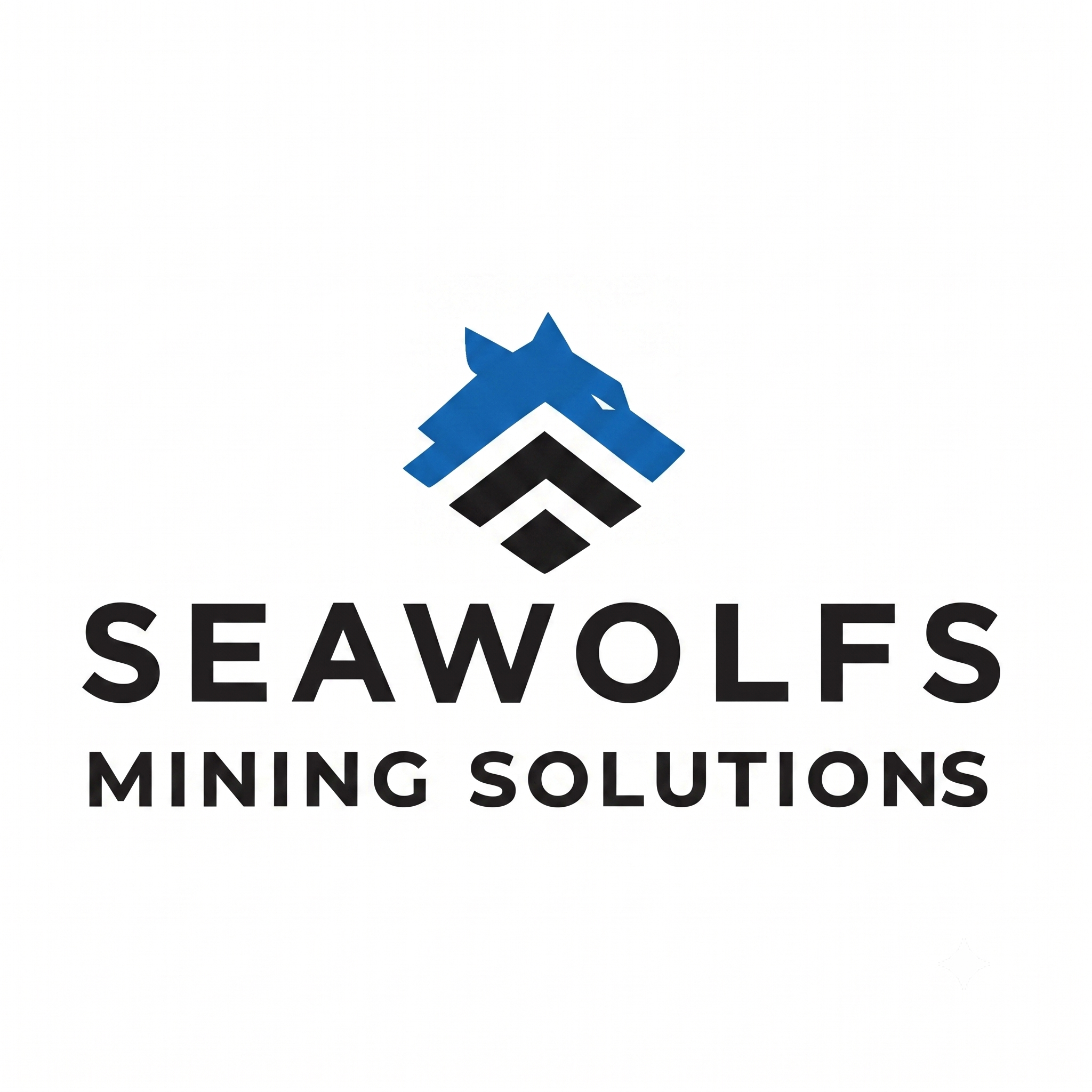 seawolfs.cl
